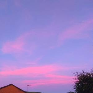 欧美人禽Z0Z0强交3D
